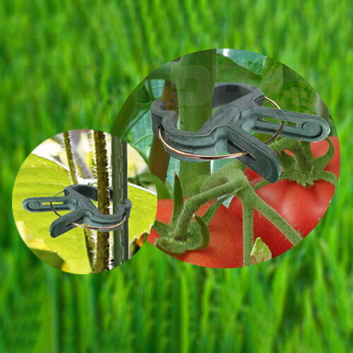 100 Grow Training Orchid Tomato Weatherproof Tie Stem Garden Plant Clips Support - Picture 12 of 12