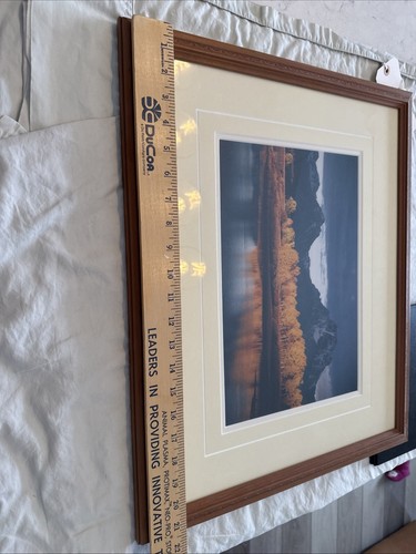 Wild By Nature Galleries Limited Edition Photo Wyoming Henry Holdsworth - Picture 5 of 8