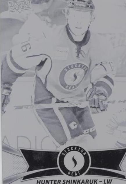 2016-17 Upper Deck AHL - Hunter Shinkaruk #141 - 1 of 1