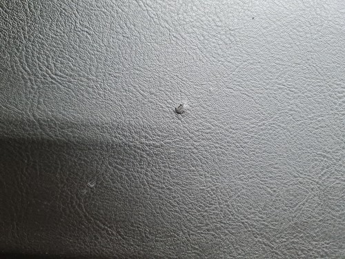 Porsche 911 Targa 72-73 Hutablage Heckablage Ablage hinten Heckscheibe schwarz - Bild 5 von 24