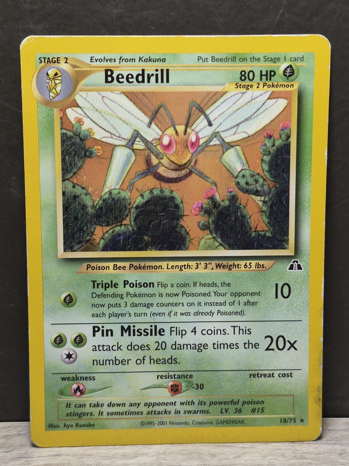 Pokémon TCG- 2001 Beedrill 18/75 Neo Discovery Regular