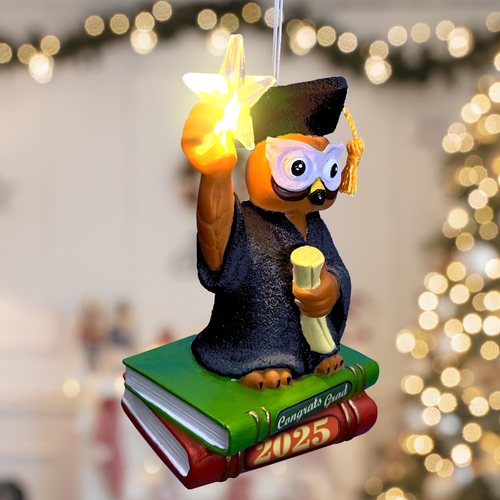 Graduation Ornament 2025 – High School, College, Kindergarten – Free Shipping - Picture 11 of 34