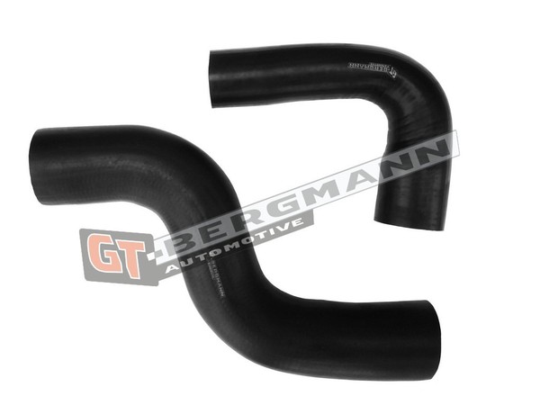 Gt-Bergmann Ladeluftschlauch Turboschlauch FüR Renault Kangoo Express 1.5 Dci-image