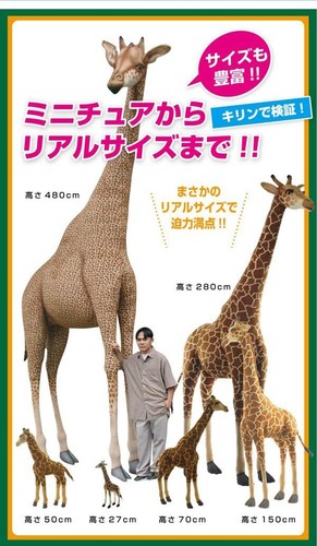 HANSA Hansa Plüschtier 7497 Jerboa 19 JERBOA - Bild 4 von 4