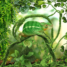 Bearded Dragon Tank Accessories for Habitat, Terrarium Hanging Plants Fo