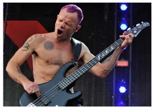 RED HOT CHILI PEPPERS - FLEA 5"X7" PHOTOGRAPH