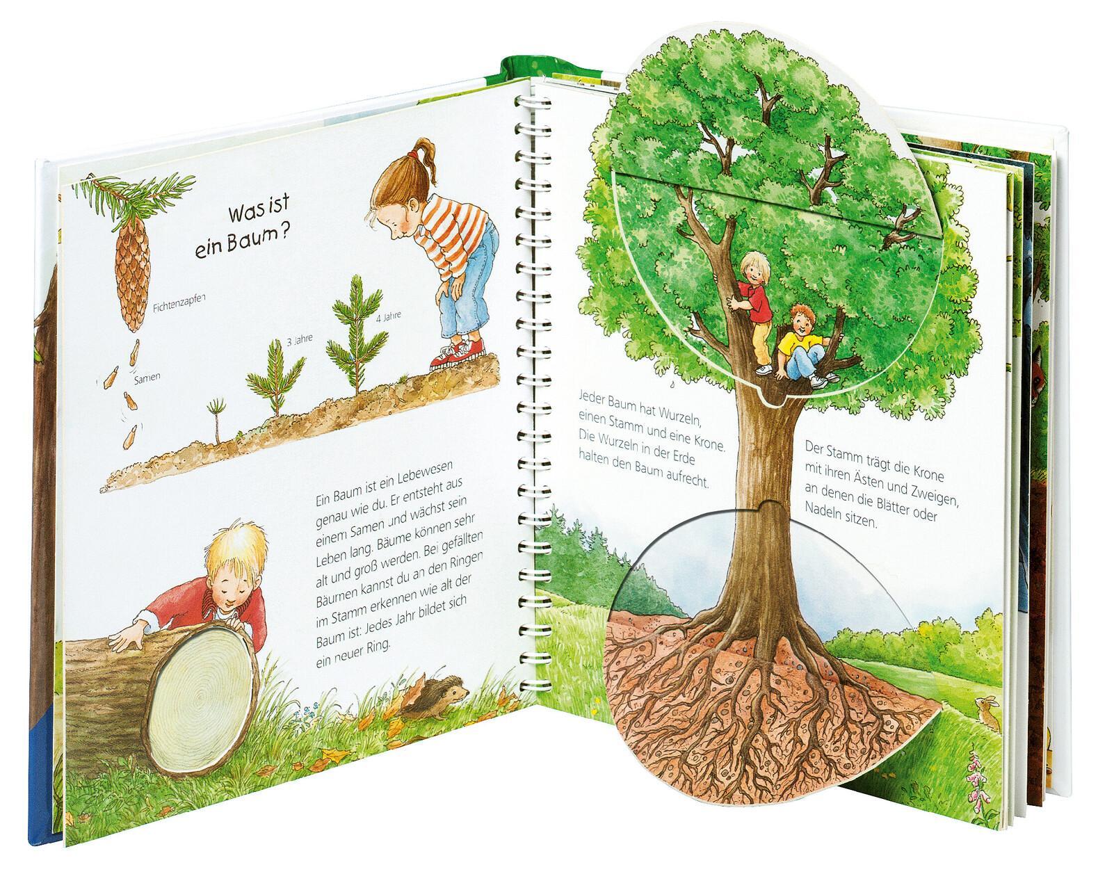 Thumbnail - Wieso? Weshalb? Warum? Junior, Band 6: Der Wald Angela Weinhold