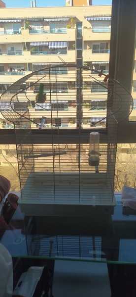 jaulas para pajaros