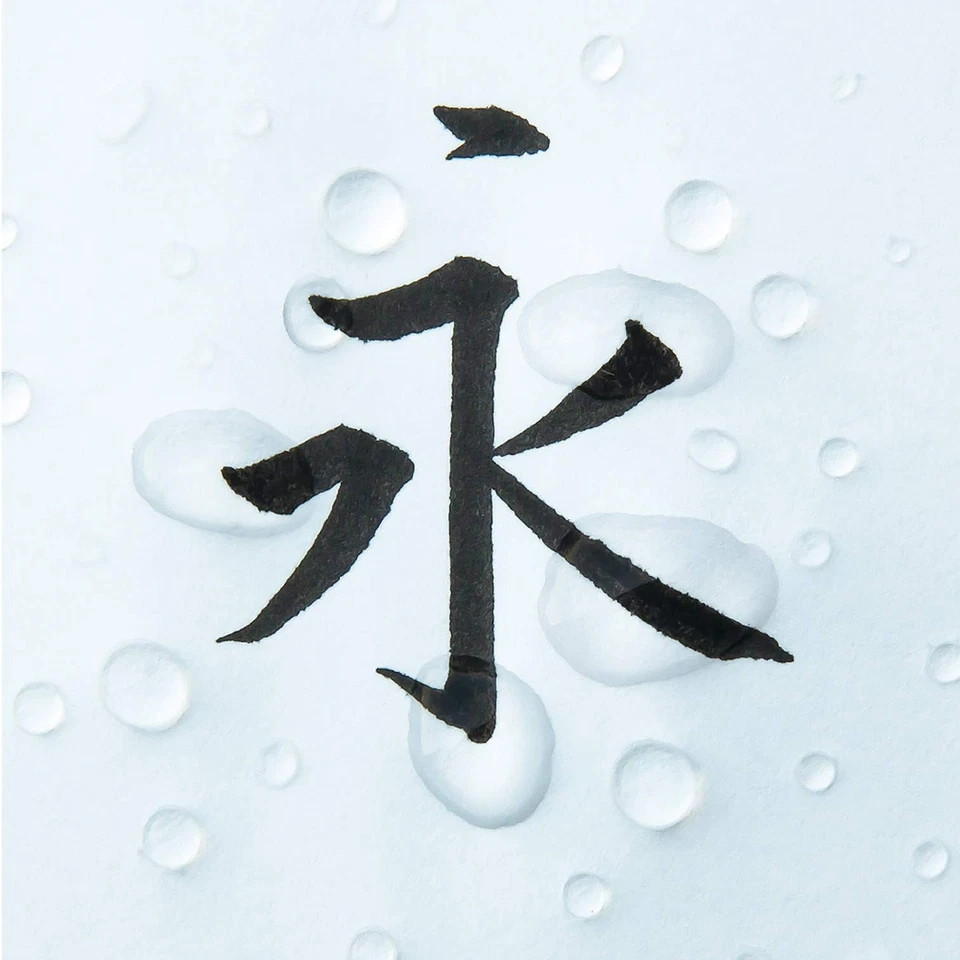  Pentel Pincel Pentel XFP5M Punto Medio Negro Producto de Oficina Foto 4 de 4