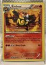 Emboar BW21 Black Star Promo Holo Rare Pokemon TCG Black  & White Promos - MP