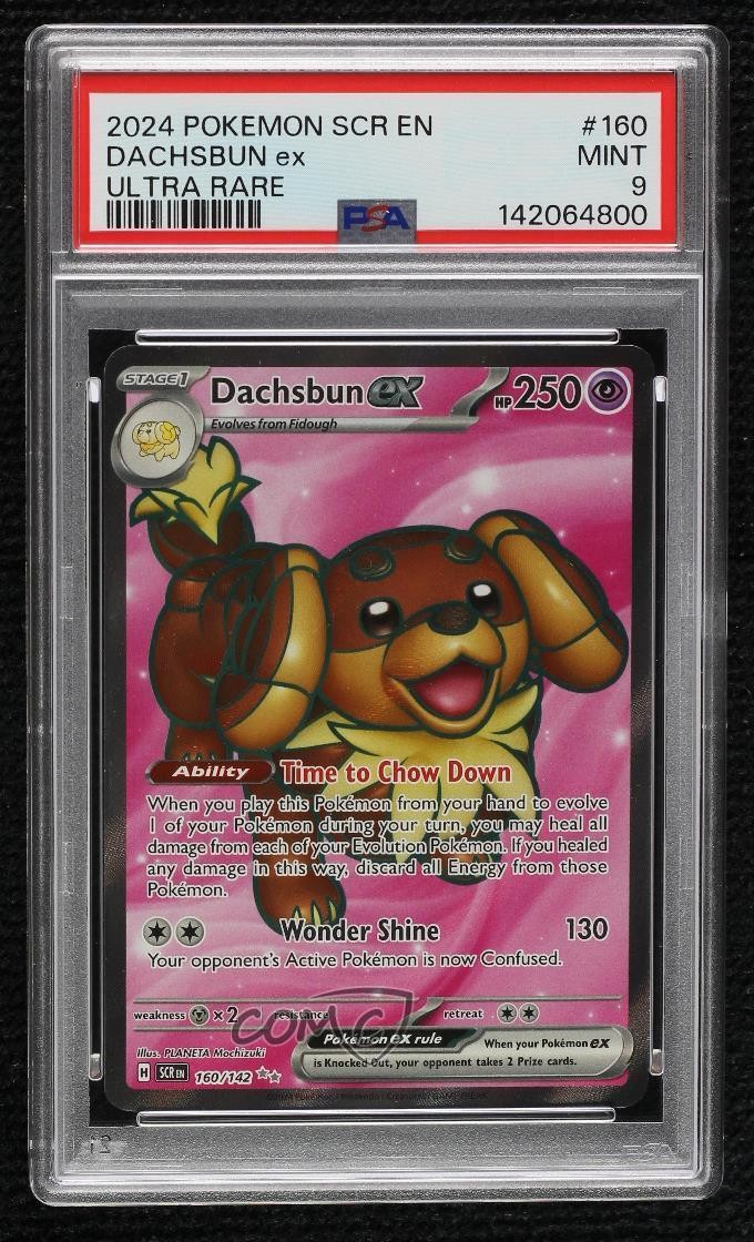 160 142 pokemon card Dachsbun ex 160/142 Sv07: Stellar Crown Holo for sale online