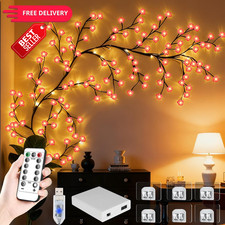 FNHMSL Cherry Enchanted Willow Vine Lights, 4FT 4FT, Pink 1X 48 LED
