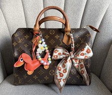 Louis Vuitton Speedy 30 Monogram