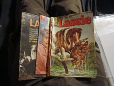 Lassie 31 43 Dell 68 Gold Key Comics Lot Run Set Collection Silver Age