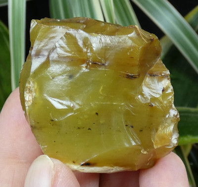 Raw Yellow Opal Circle of Nioro 5x4cm Mali Mineral Old Reiki Collection