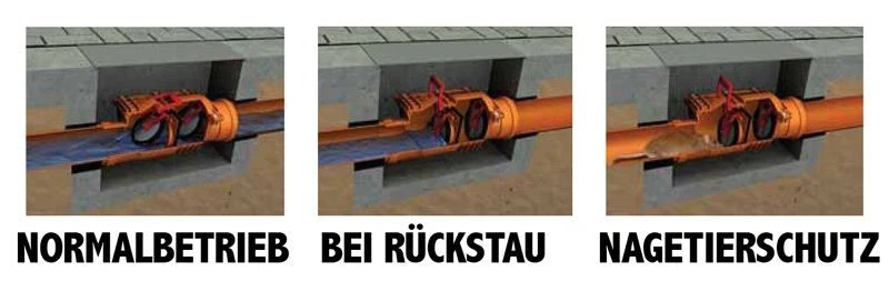 Rückstauklappe Rückstauverschluss DN 50 - 200 Rattenschutz für Abwasserrohr - Bild 4 von 4