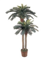 Bay Isle Home Palm Double Potted Tree In Basket on sale Bay Isle Home Palm Double Potted Tree In Basket on sale