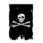 Jolly Roger Flag 3x4.8Fts Creepy Ragged Crossbone Old Skull Bones Pirate Bann.