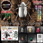 第 7/7 張圖片