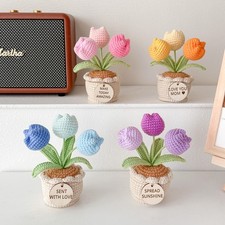 Crochet  TulipRose Flower Pot Handmade Desk Decor with Positive Affirmation