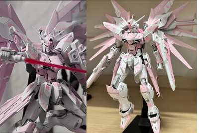 Super Welfare Bandai MG Freedom Gundam Ver.2.0 Adapt To Cherry