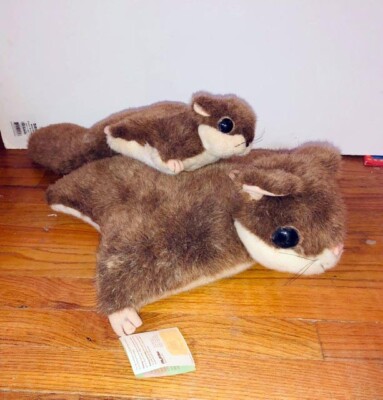 Aqua Flying Squirrel Large & Small Plush Stuffed Animal Nature Collection Alfa+