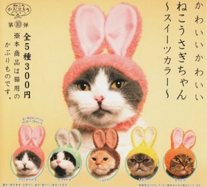 Détails Sur Neuf Kitan Club Mignon Chat Et Chien Lapin 5 Costumes Ensemble Japon Free Ship