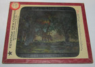 Vintage Antique 1900s Lot Of 13 Keystone View Company Glass Slides Agriculture — photo 10