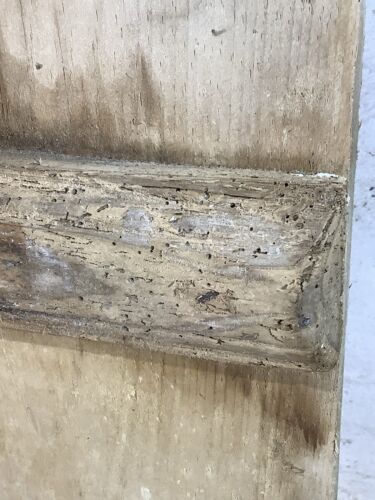 30"X 67 7/8" Very Old Internal Stripped Pine 3 Plank Ledge Door Reclamation - Picture 11 of 12