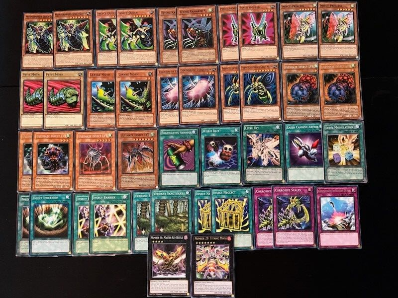 deck insecto yugioh Amazon.com: Generic Complete Custom Deck for Yu-Gi-Oh! ARC-V main image 1