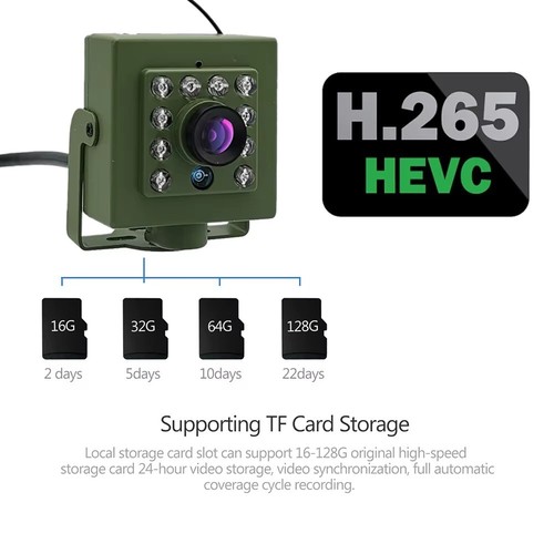 HQCAM Green Wifi Bird Box Camera Audio 1920P 1080P IR CUT Night Vision RTSP - Picture 4 of 4