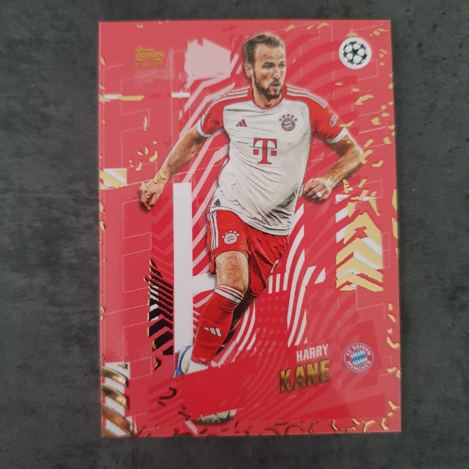 Bild 76 von 105