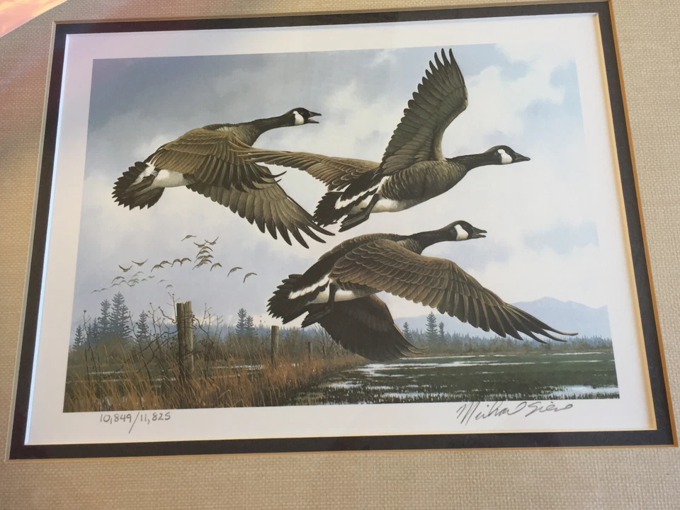 Oregon Waterfowl Geese Framed Print Stamps Signed Michael Sieves 1984 - Image 2 of 4