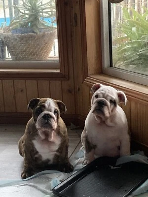 0cfin5xy2wf2qm 0cfin5xy2wf2qm