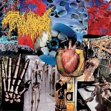 TRICHOMONIASIS - HARVEST OF THE KILLING FIELDS - New CD - V72z