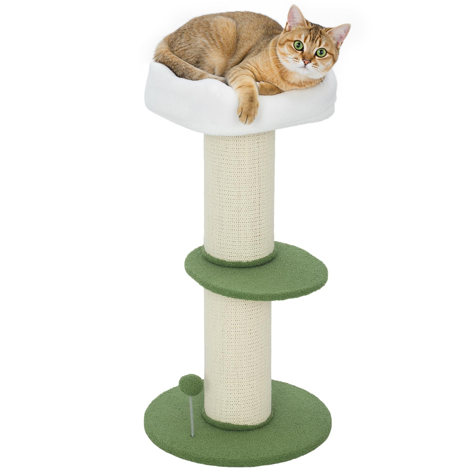 Tonneau à gratter et arbre à chat design fleuri pour le salon moderne