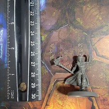 Human Elf Wizard Warlock Sorcerer Miniature Dungeons Dragons DND Pathfinder