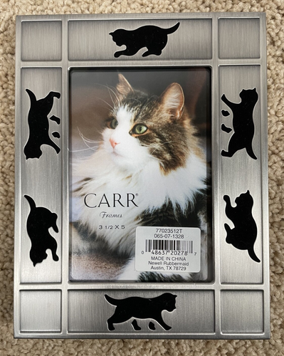 Carr's Cats Brushed Nickel Metal w/ Glass Frame 3.5 x 5 in Pictures Photos