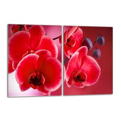 Glasschutzplatte für den Herd 2x40x52 Orchidea