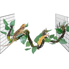 Medium Reptile Vines Thick Terrarium Plants 118 Inches Long Flexible Climbing...
