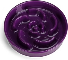 Ceramic Slow Feeder Dog Bowl Anti Bloat Maze Puzzle for Small Medium Large Dogs
