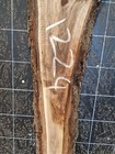 Bild 6 von 12
