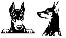Doberman Pinscher 2 Pack 5" Black Vinyl Decal Car Truck Windows laptop notebook