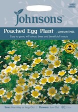 Poached Egg Plant Seeds 'Limnanthes' by Johnsons FREE UK DELIVERY