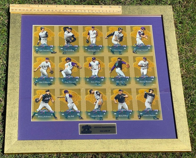 2002 Pepsi Upper Deck Diamondbacks Framed & Matted Baseball Card Sheet-Gonzo, RJ