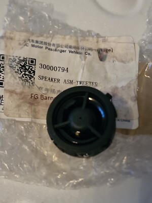 30000794 Lautsprecher ASM HOCHTÖNER SAIC MOTOR BRANDNEU ORIGINALTEIL TOP QUALITÄT 