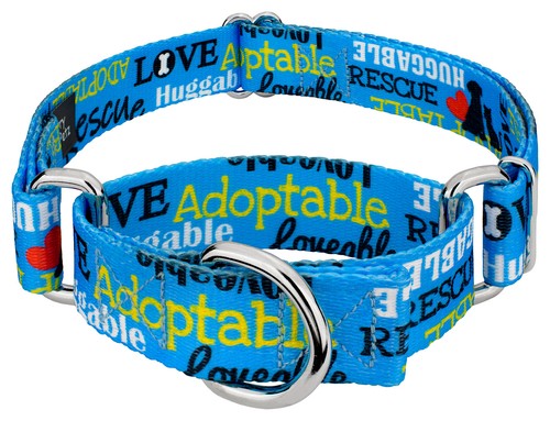 ebay martingale dog collars