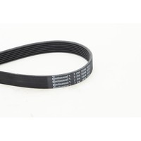Continental Ctam 7PK1834 Keilrippenriemen