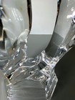 Foto 11 di 11
