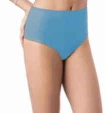 SPANX Panties Shapewear L SKINNY BRITCHES Teal Gauze Sheer Cheeky Briefs 902 NWT